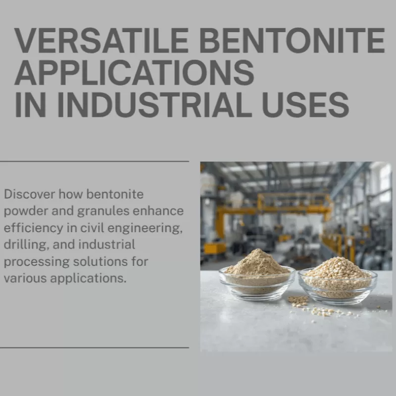 Bentonite Applications